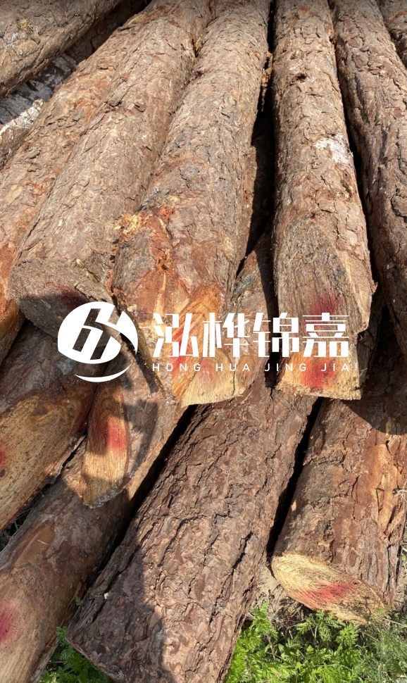 <strong>松木樁和杉木樁的用途區(qū)別？哪個更適合打樁用？</strong>