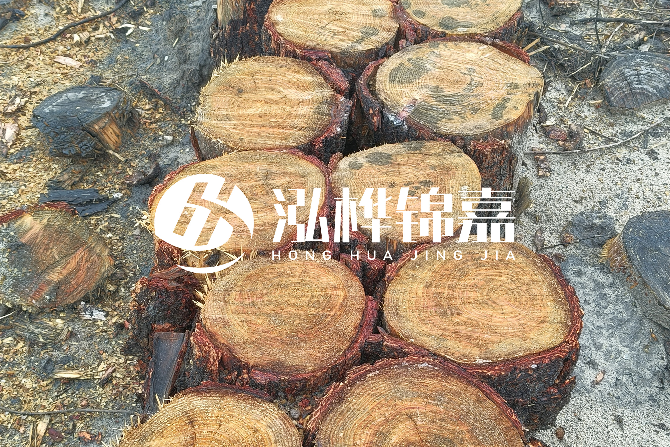 浙江臺州有清淤的公司嗎？浙江臺州有清淤施工隊嗎？