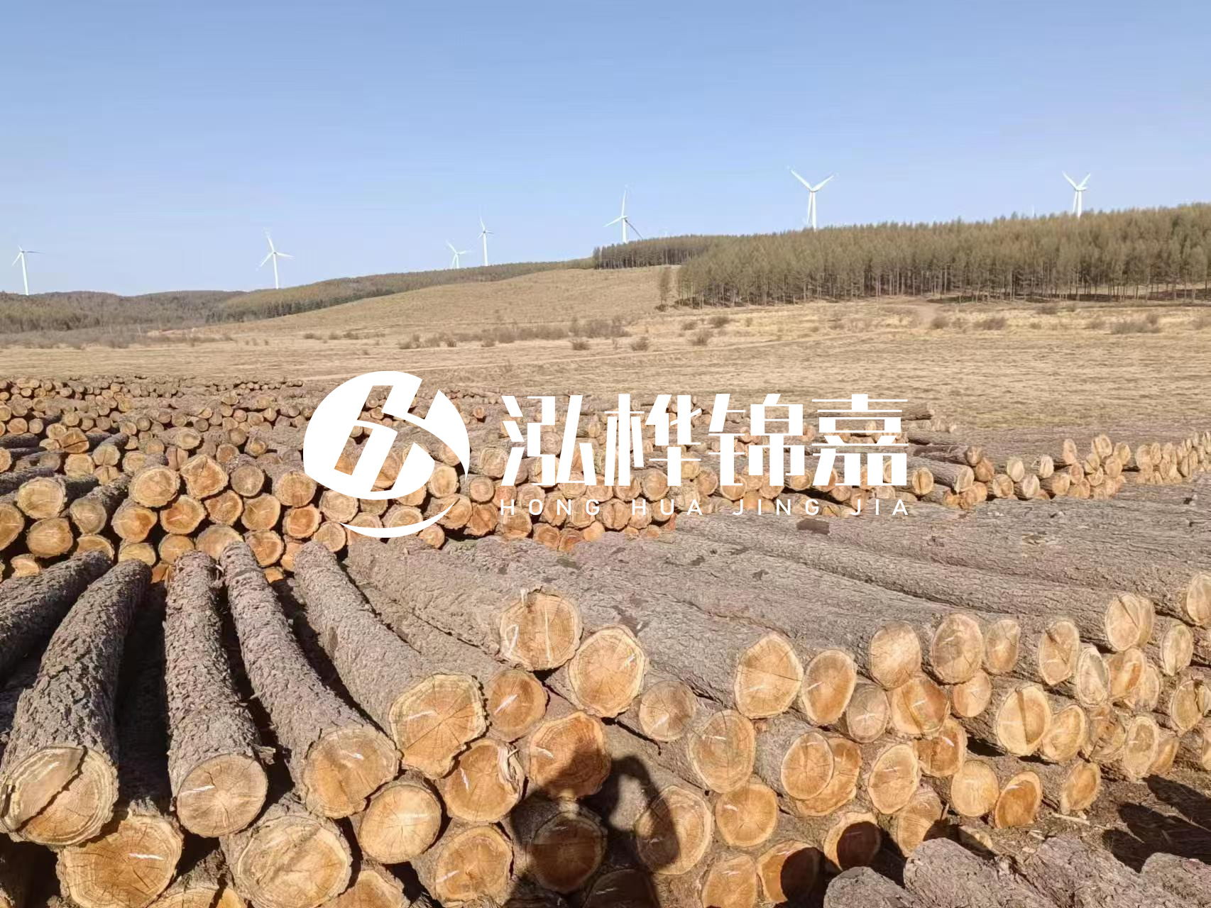 咸寧松木樁源頭廠家-哪里能買到質量好的松木樁打樁木？