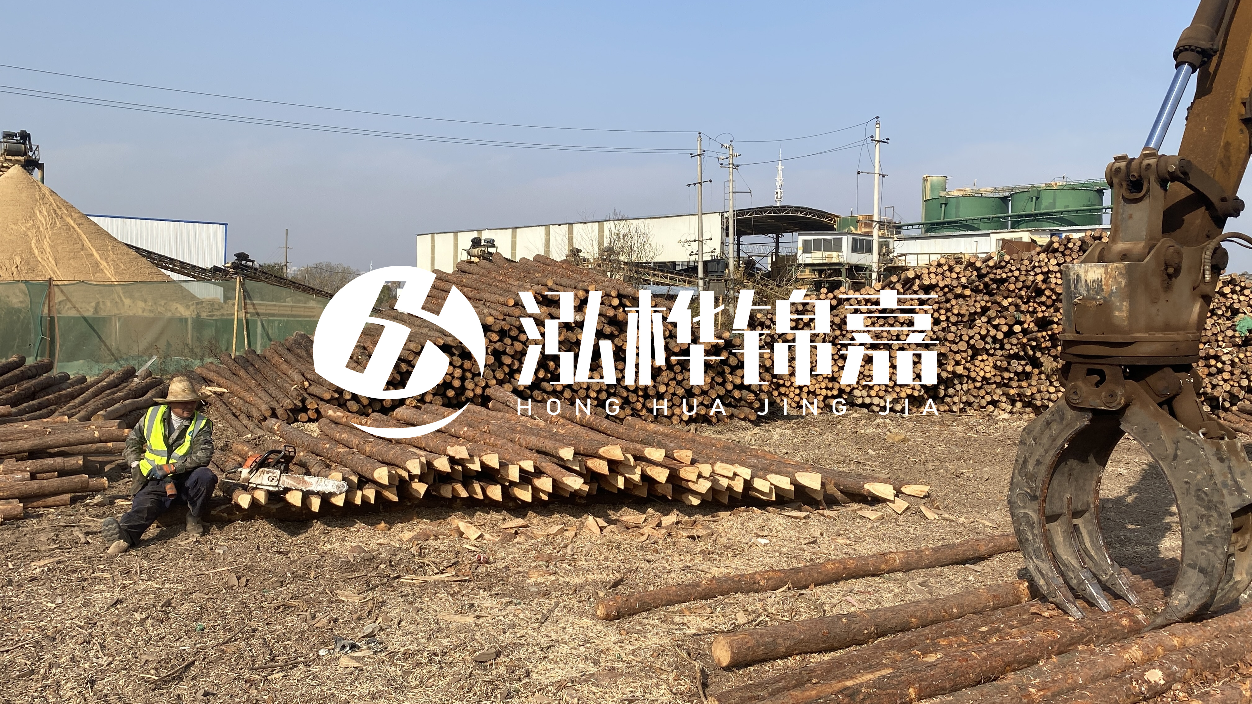 河道木材松木樁怎么選？松木樁源頭廠(chǎng)家告訴你！