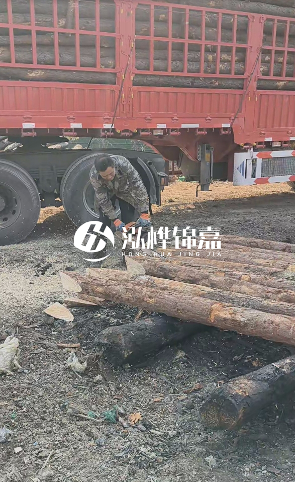 2米松木樁多少錢一根？15-20CM直徑價格是多少？
