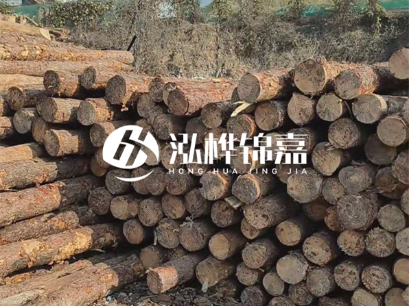 落葉松木材的主要產(chǎn)地在哪里？為什么比其他松木更耐腐蝕？