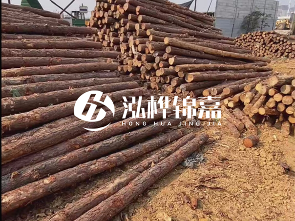 河道木樁施工遇到淤泥怎么辦？打多深才能防沖刷？