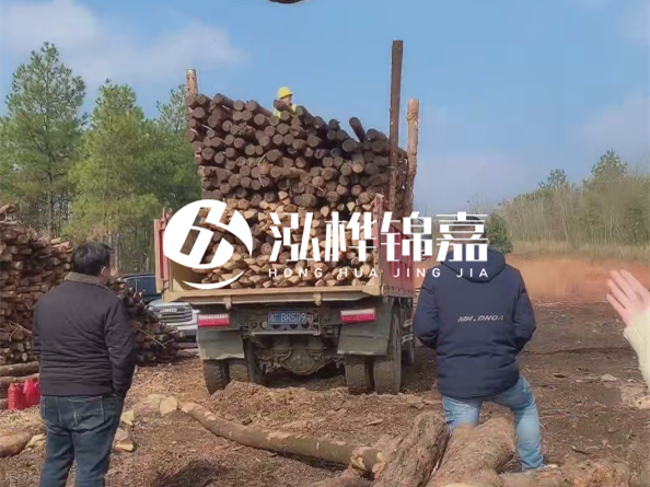 防腐木樁價(jià)格比普通木樁貴多少？防腐木樁有哪些處理方式？
