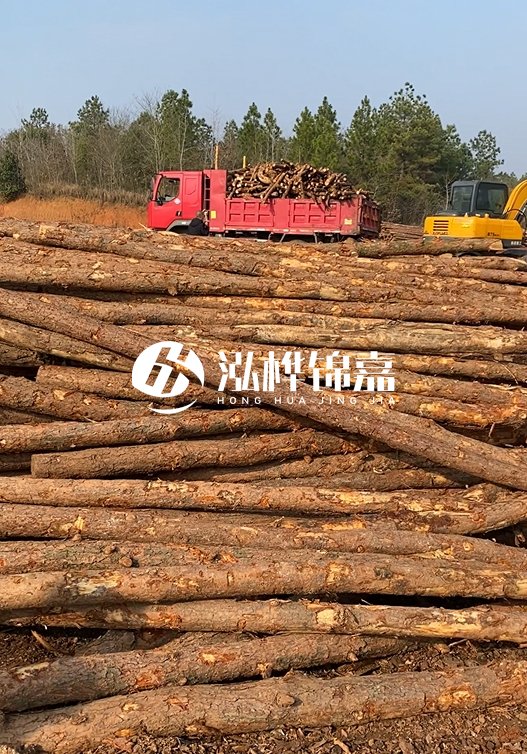 8米小頭11-13CM的松木樁價格是多少？打樁施工怎么算？