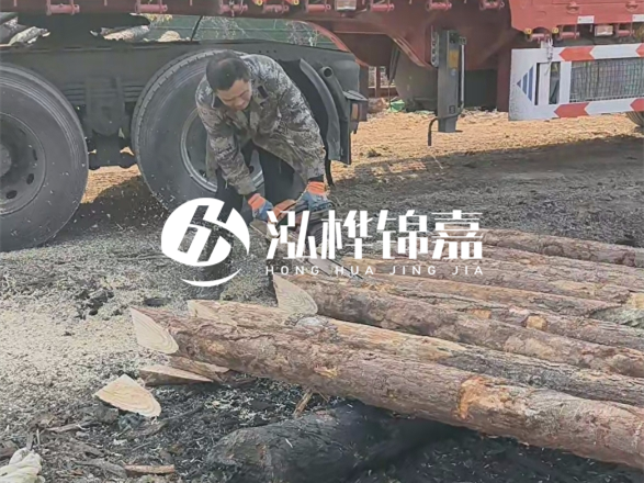 松木圓木價(jià)格大概多少一方-松木樁廠家按方可以賣(mài)嗎？