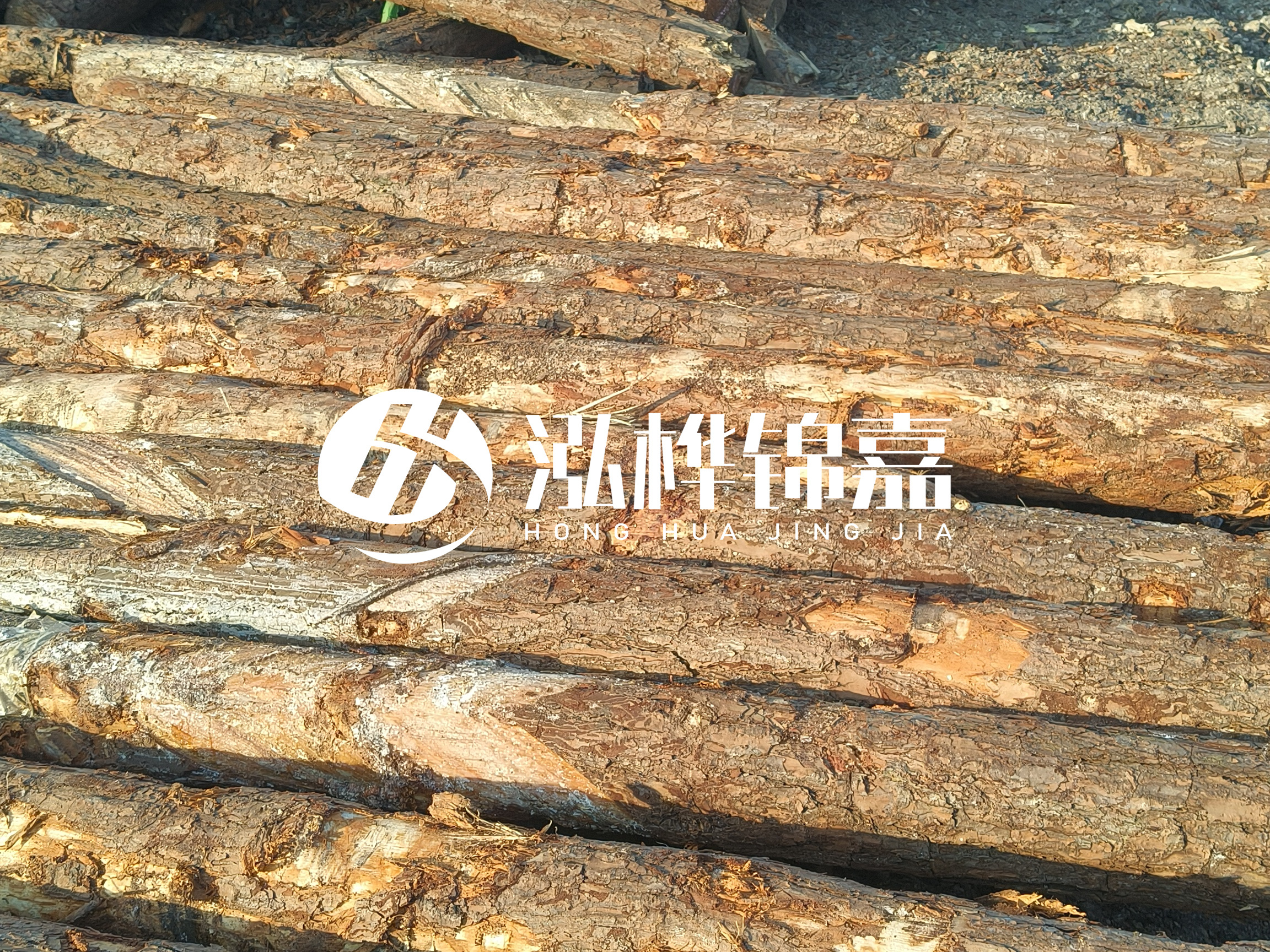 河道木樁的含水率過(guò)高會(huì)有什么問(wèn)題？怎么檢查松木樁含水率？