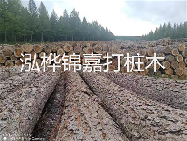 高效施工，圓松木樁助力建筑工程進展順利