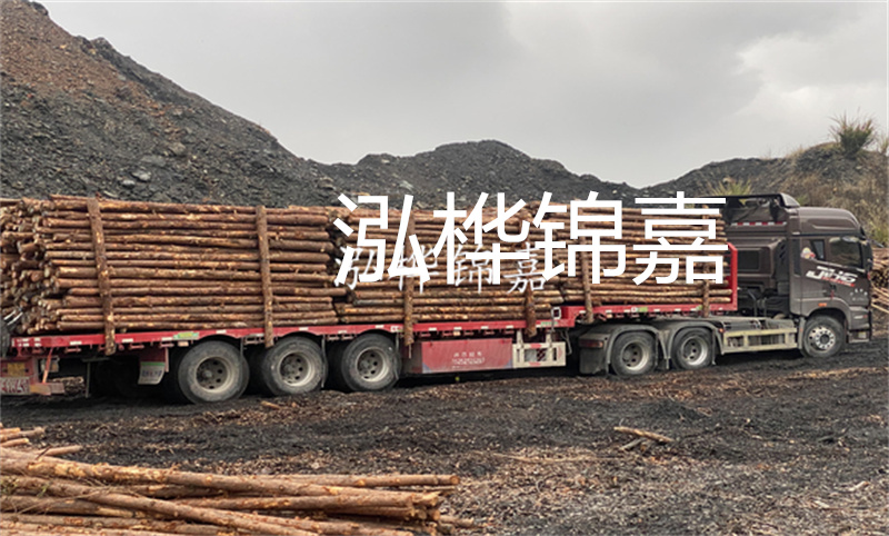 大理松木樁哪里賣？選擇合適的松木樁來(lái)保護(hù)你的建筑